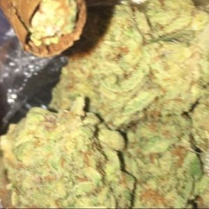 Meet your Posher, Mike